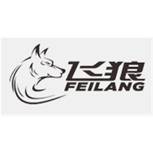 东莞市飞狼电源科技有限公司