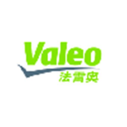 法雷奥动力总成（上海）有限公司