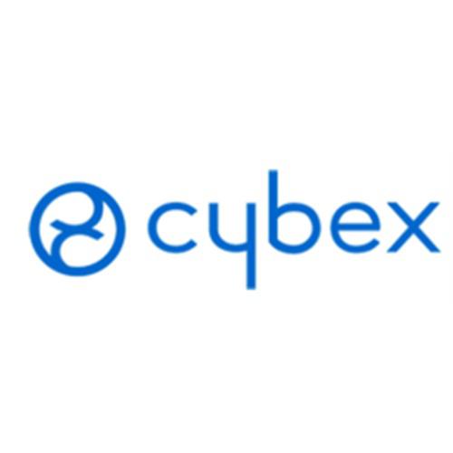 深圳市赛佰斯科技有限公司